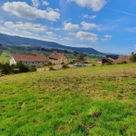 Terrain constructible de 997 m² à Lepanges-sur-Vologne – Viabilisé et prêt à bâtir