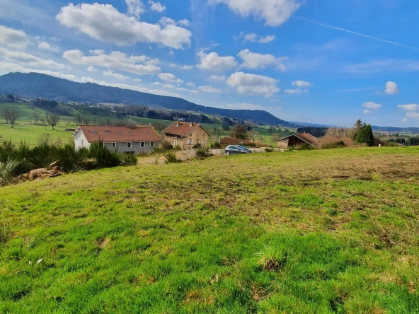 Terrain constructible de 997 m² à Lepanges-sur-Vologne – Viabilisé et prêt à bâtir