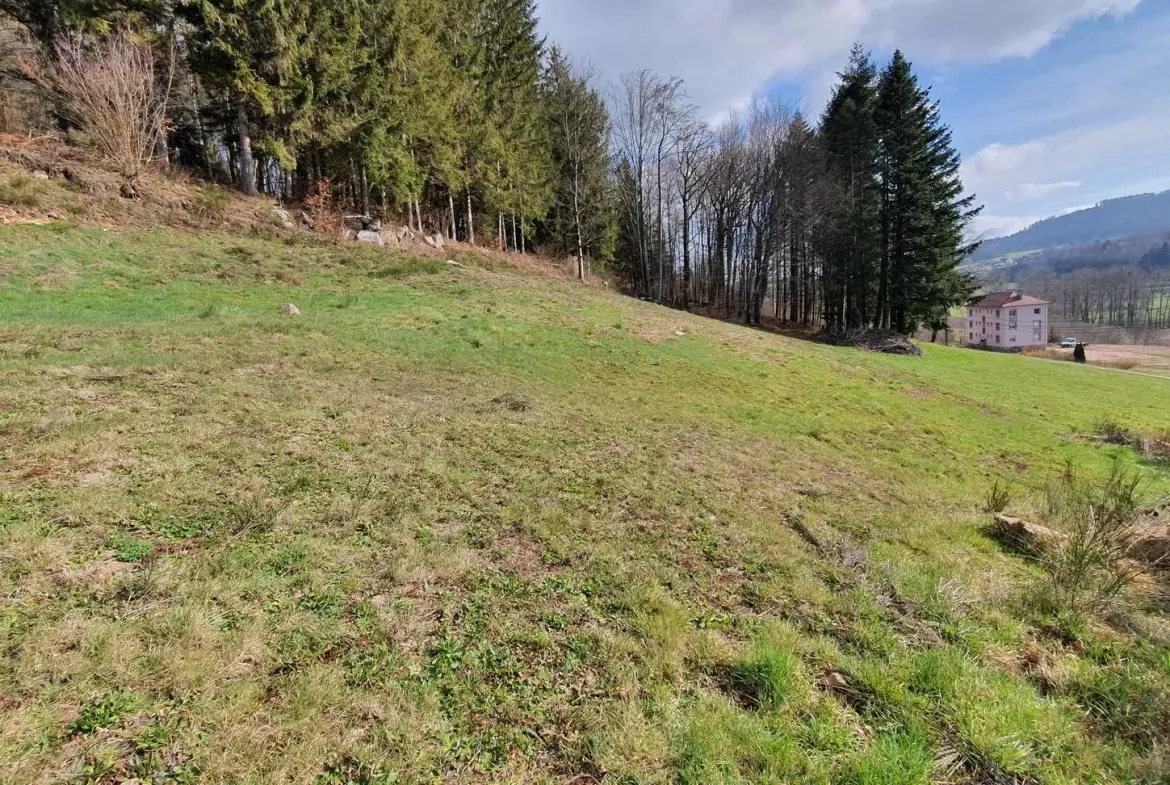 Terrain constructible de 997 m² à Lepanges-sur-Vologne – Viabilisé et prêt à bâtir 