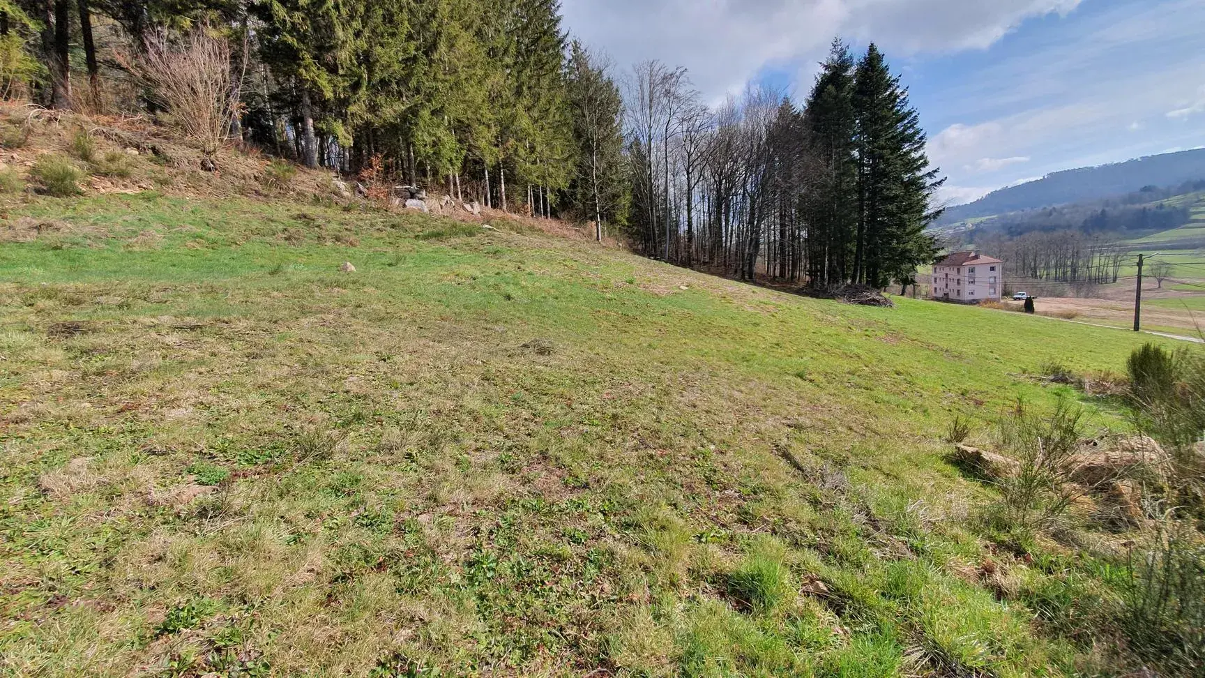 Terrain constructible de 997 m² à Lepanges-sur-Vologne – Viabilisé et prêt à bâtir 
