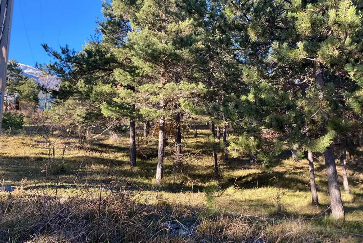 Terrain constructible de 2679 m² à Embrun, calme et proche de la nature 
