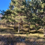 Terrain constructible de 2679 m² à Embrun, calme et proche de la nature