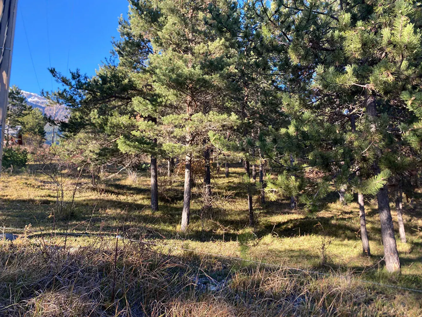 Terrain constructible de 2679 m² à Embrun, calme et proche de la nature 