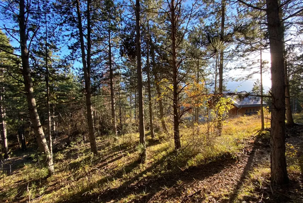 Terrain constructible de 2679 m² à Embrun, calme et proche de la nature 