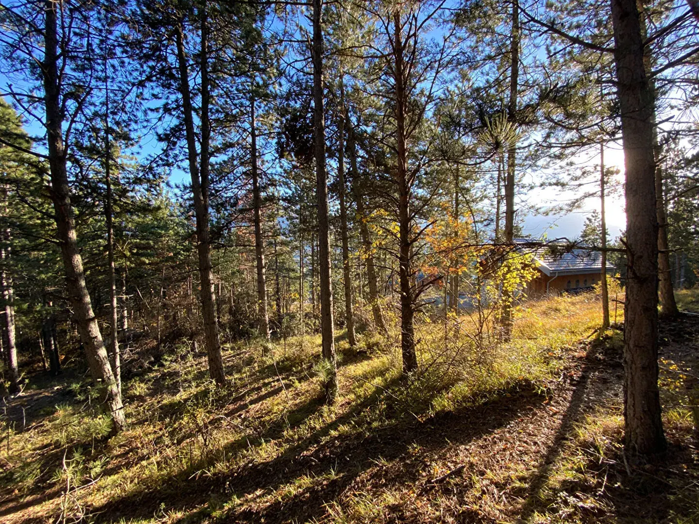 Terrain constructible de 2679 m² à Embrun, calme et proche de la nature 