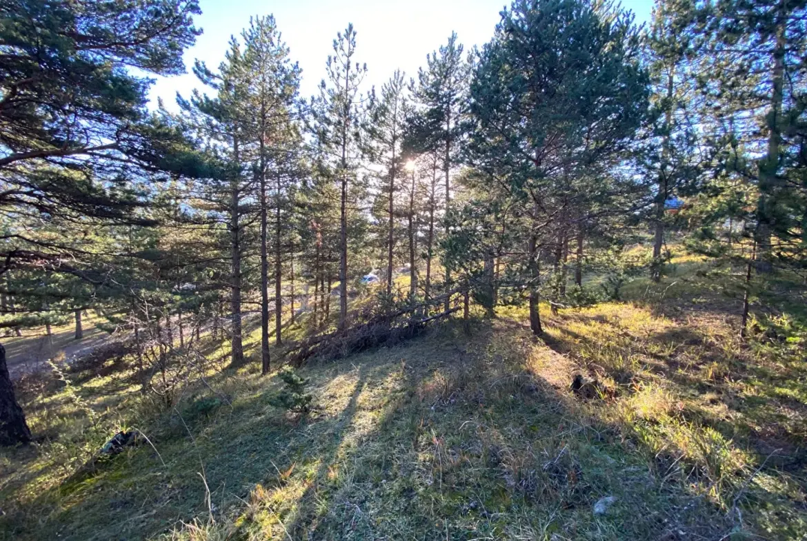 Terrain constructible de 2679 m² à Embrun, calme et proche de la nature 