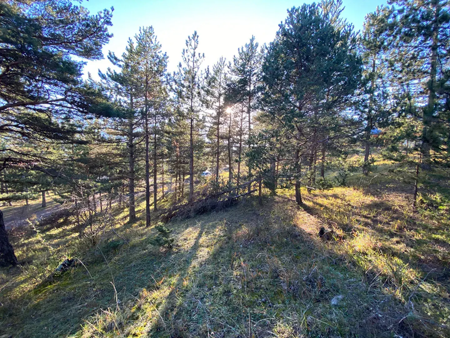 Terrain constructible de 2679 m² à Embrun, calme et proche de la nature 