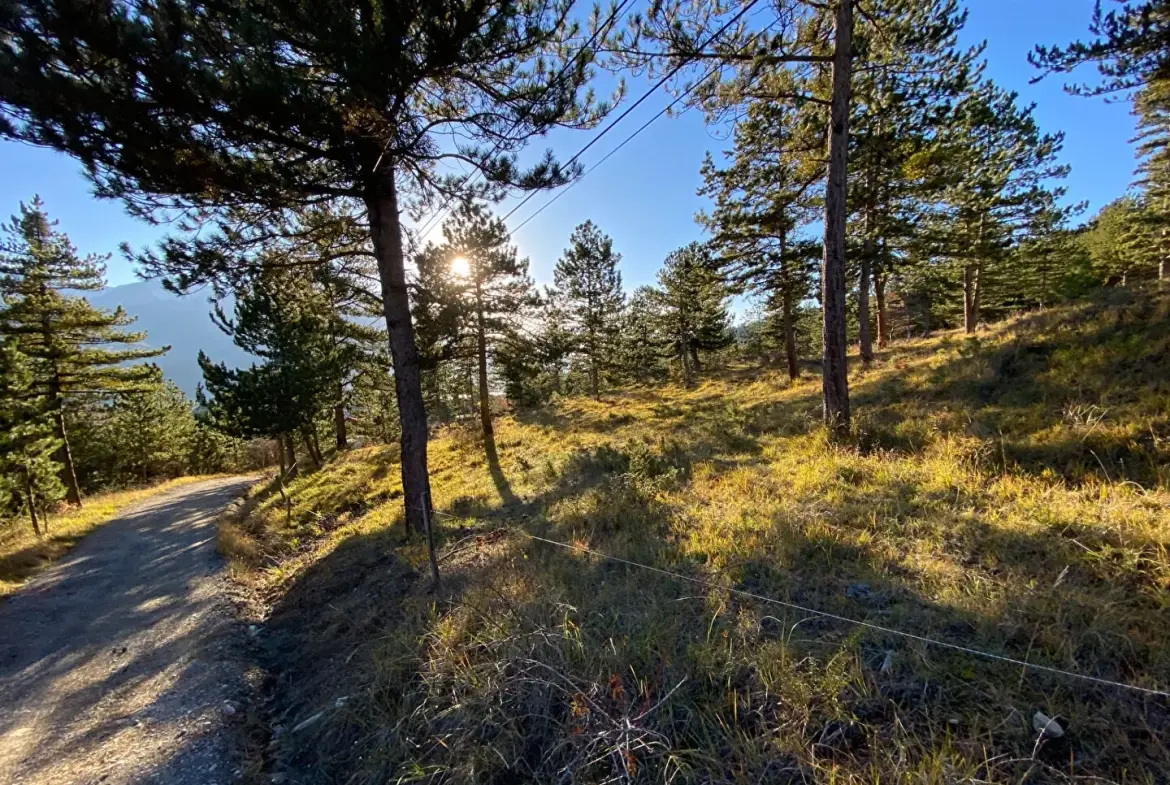 Terrain constructible de 2679 m² à Embrun, calme et proche de la nature 
