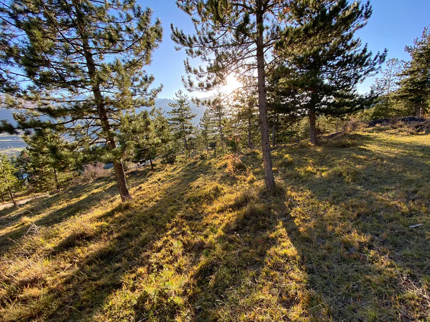 Terrain constructible de 2679 m² à Embrun, calme et proche de la nature 
