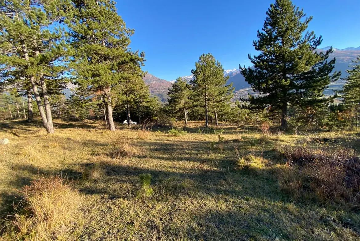 Terrain constructible de 2679 m² à Embrun, calme et proche de la nature 