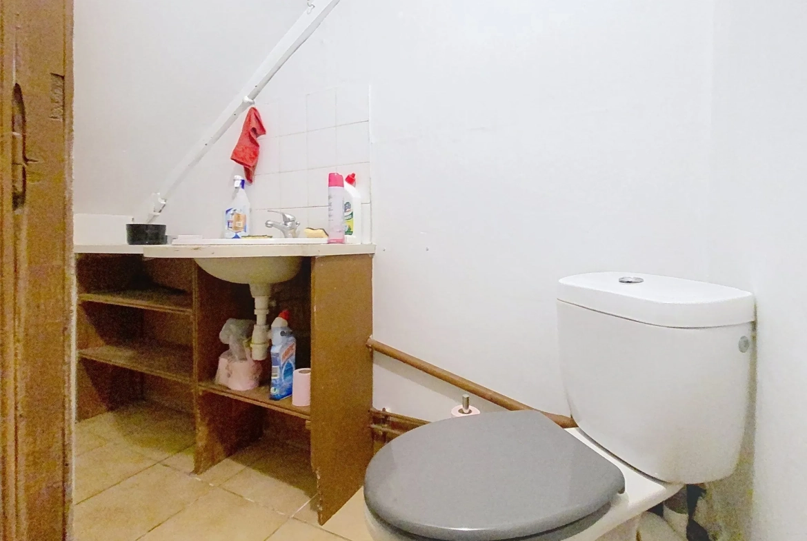 Maison à vendre à Saint-Benoît-de-Carmaux, 100 m² avec jardin et terrasse 