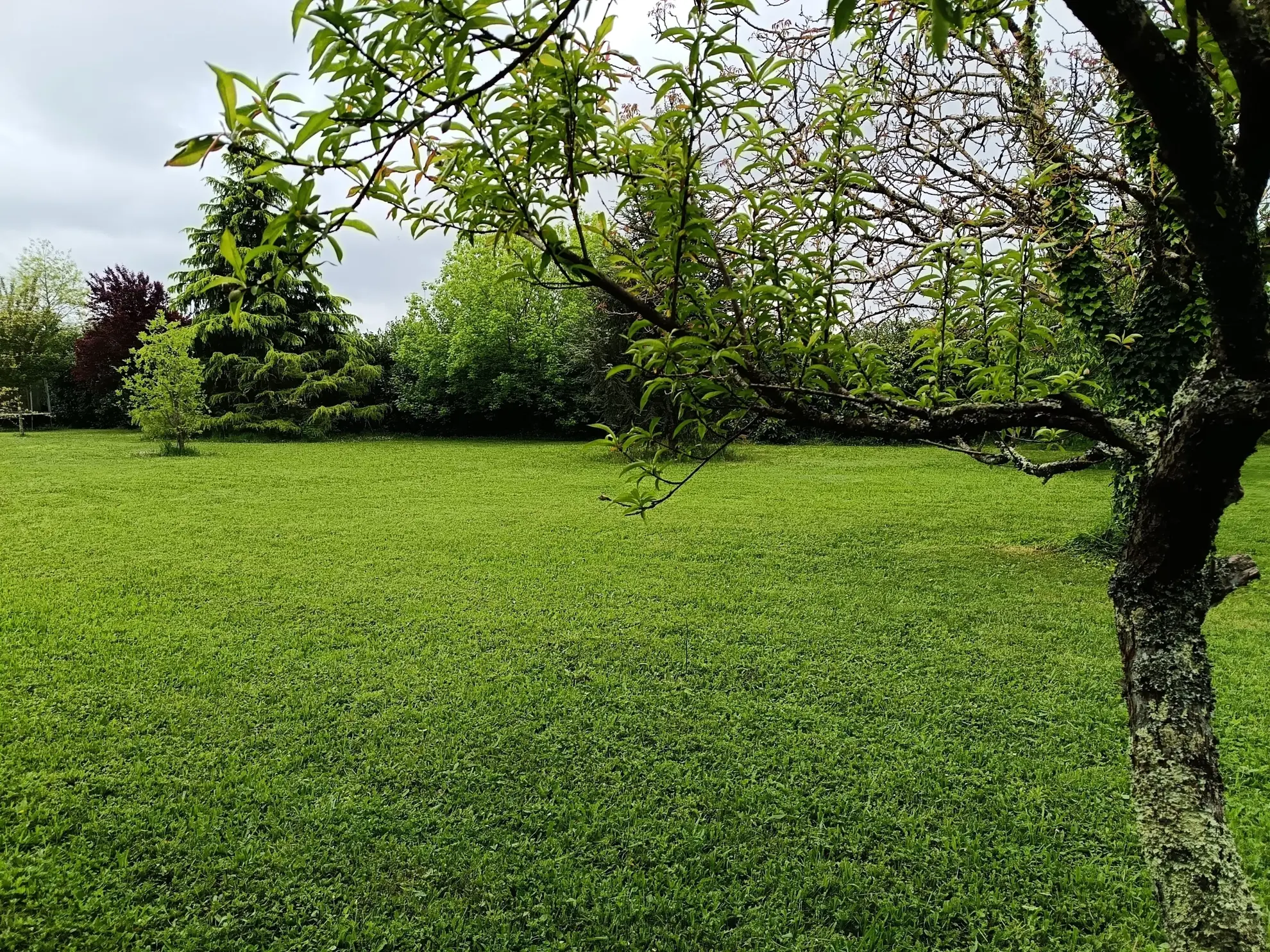Parcelle de 1800 m² à Bergerac Est, terrain viabilisé à vendre 