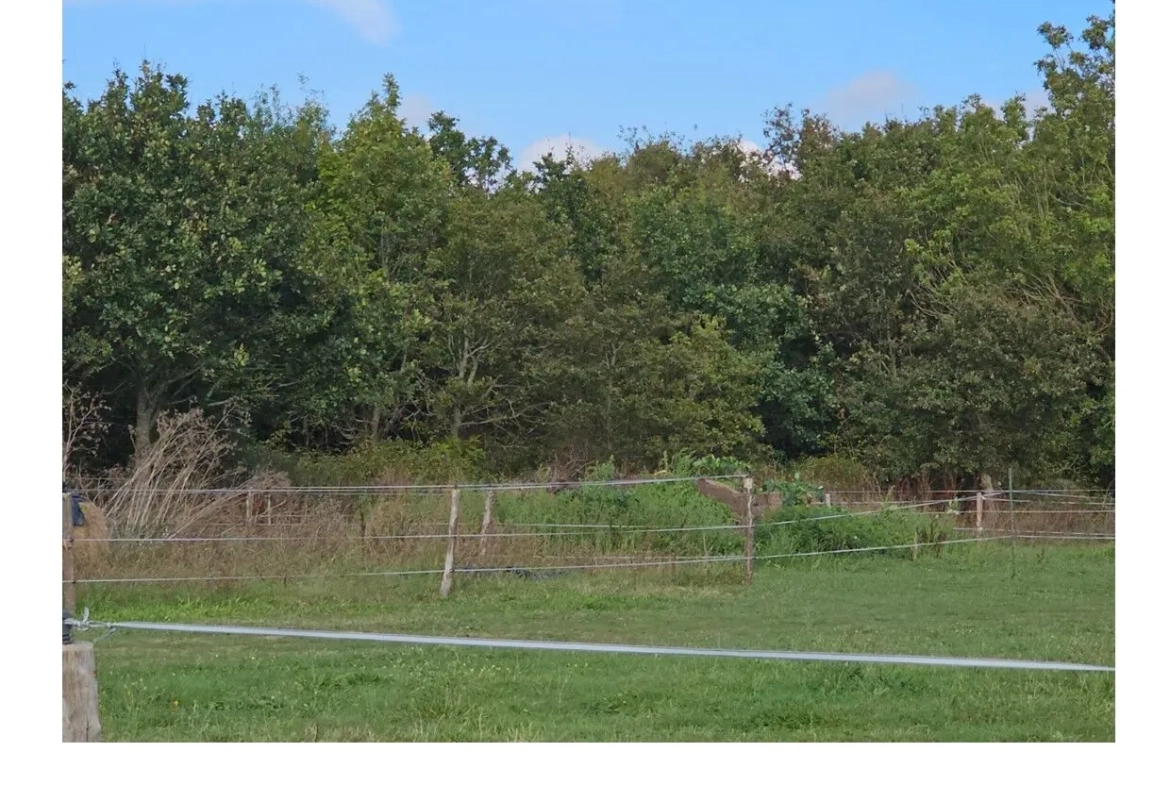 Terrain à vendre à La Plaine-sur-Mer - 500 m² proche mer à saisir 