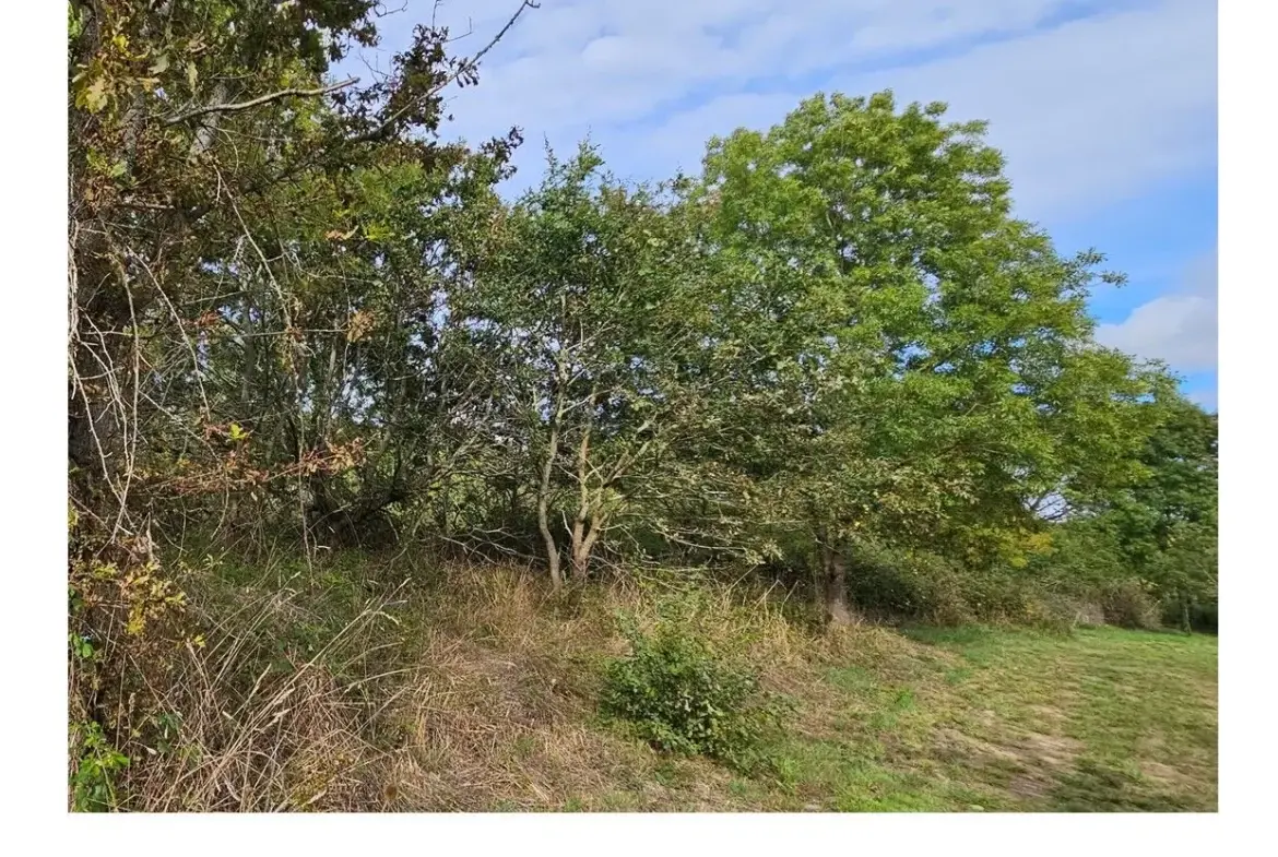 Terrain à vendre à La Plaine-sur-Mer - 500 m² proche mer à saisir 