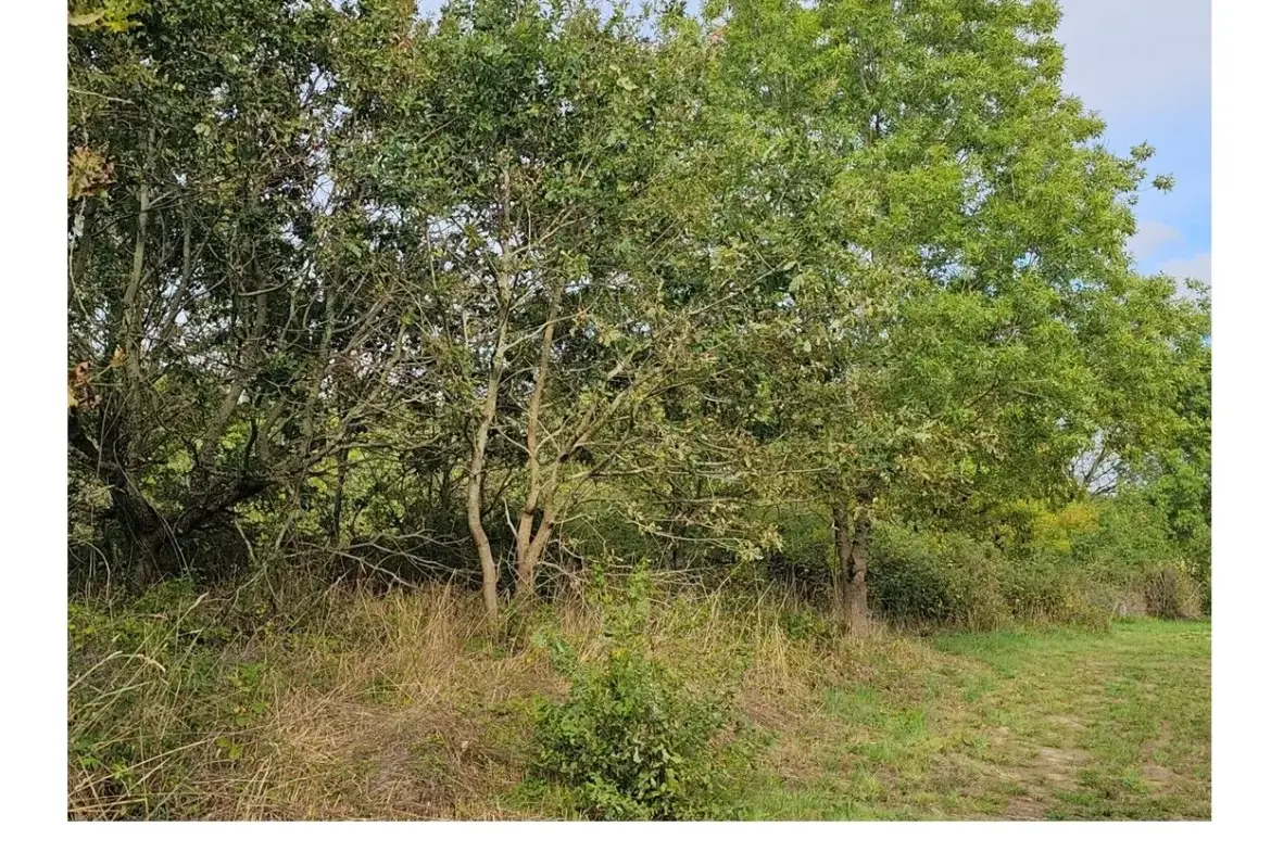Terrain à vendre à La Plaine-sur-Mer - 500 m² proche mer à saisir 