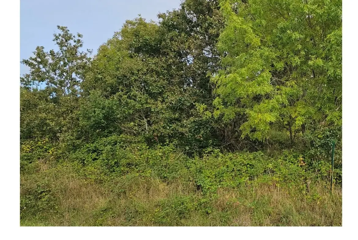 Terrain à vendre à La Plaine-sur-Mer - 500 m² proche mer à saisir 