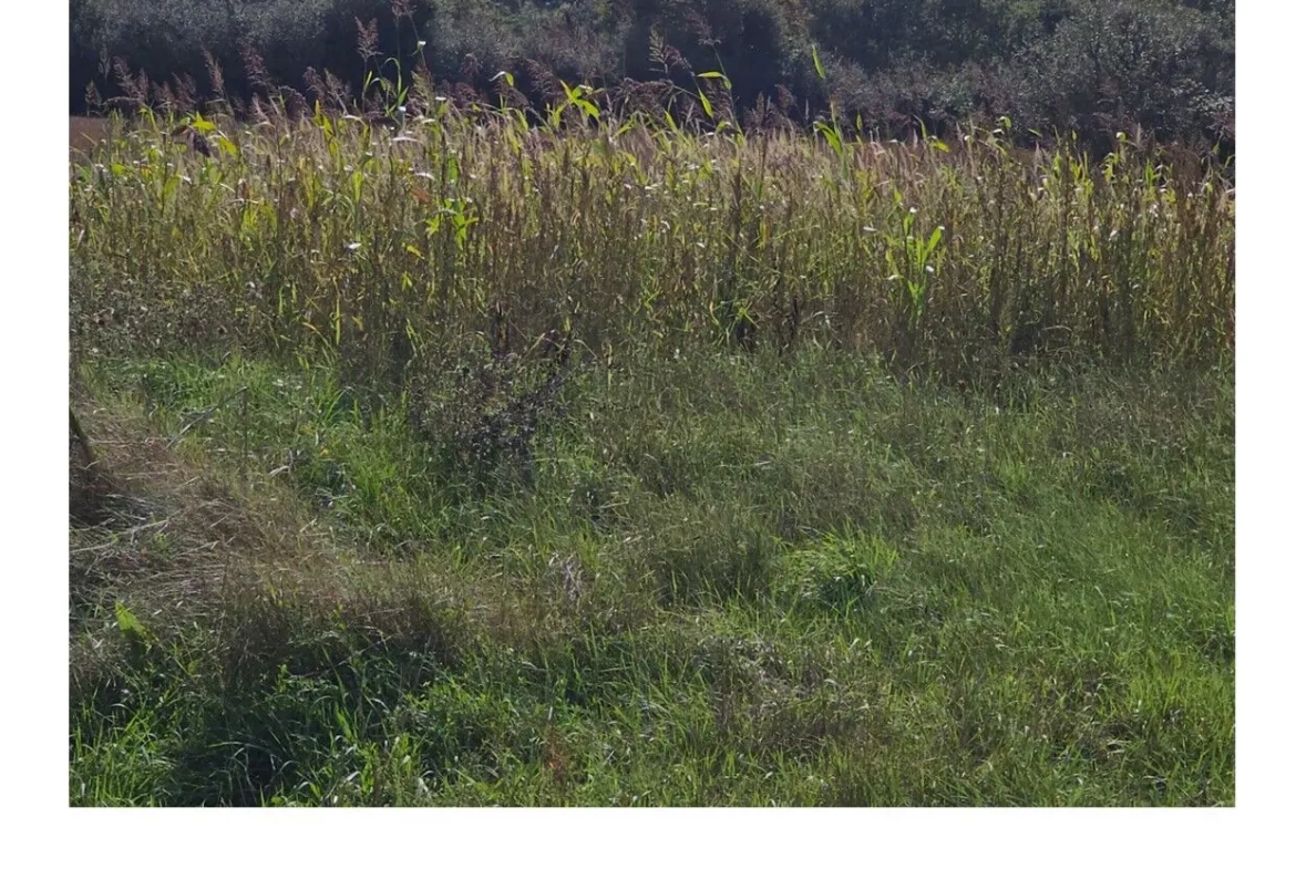 Terrain à vendre à La Plaine-sur-Mer - 500 m² proche mer à saisir 