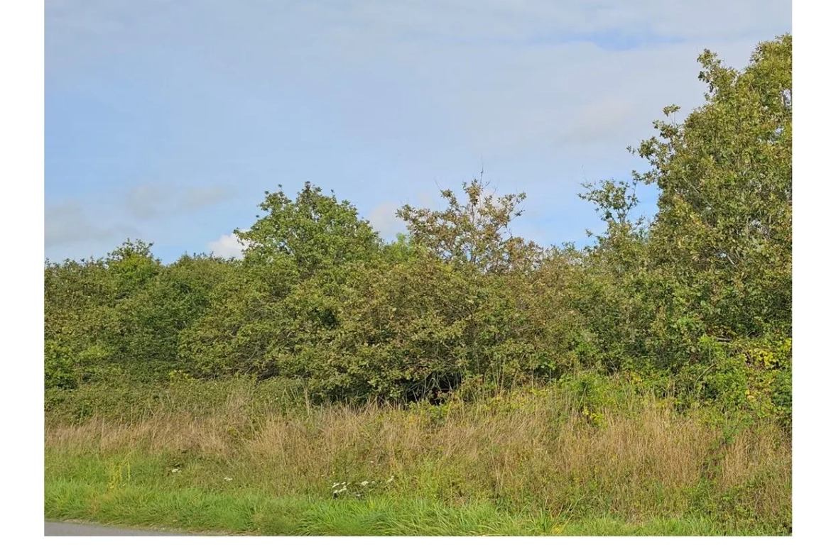 Terrain à vendre à La Plaine-sur-Mer - 500 m² proche mer à saisir 
