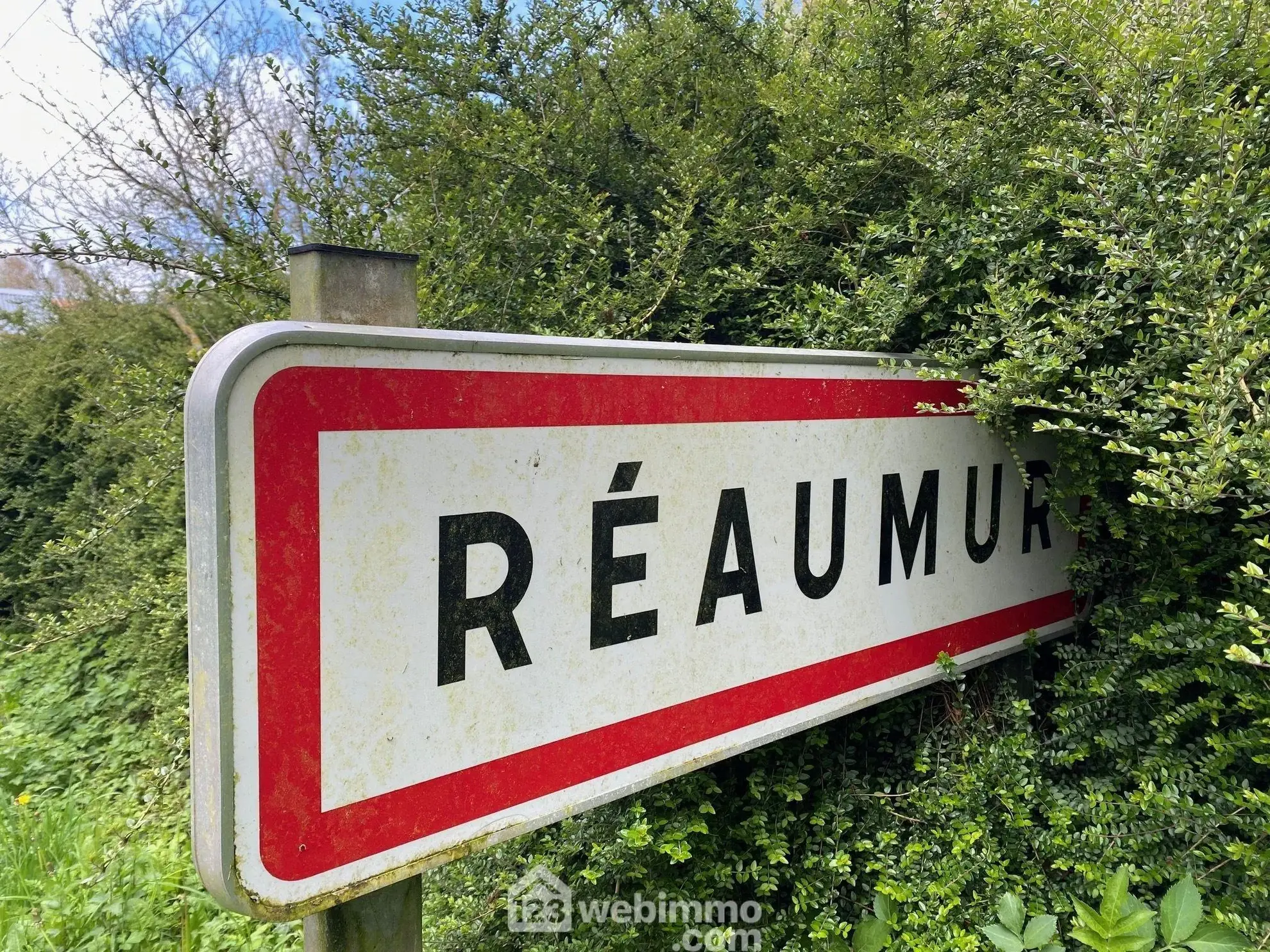 Terrain constructible à Réaumur - Surface de 1100 m² – Emplacement idéal 