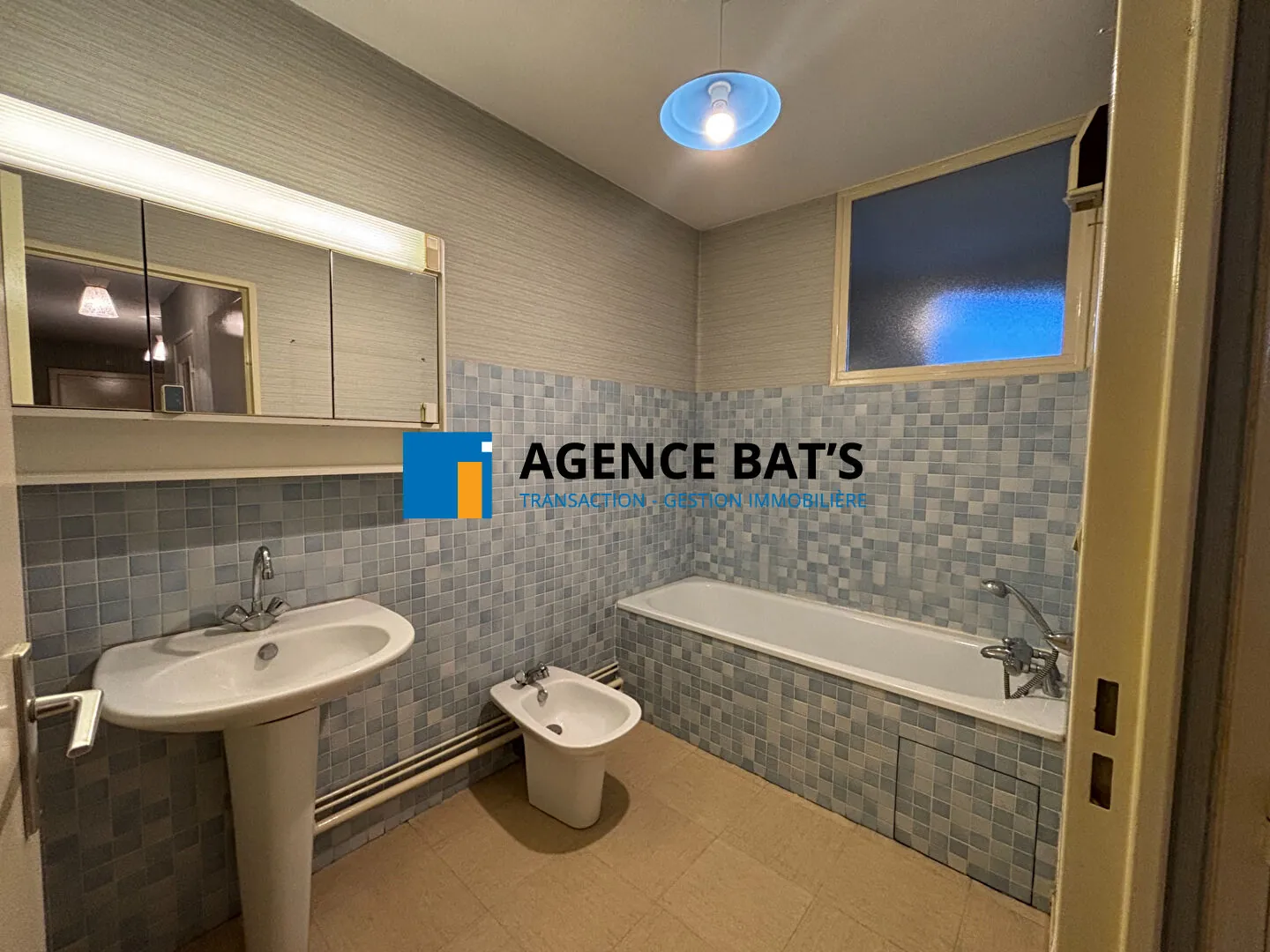 Appartement T3 à Saint-Étienne avec garage, balcons et vue sur parc, secteur Bellevue 