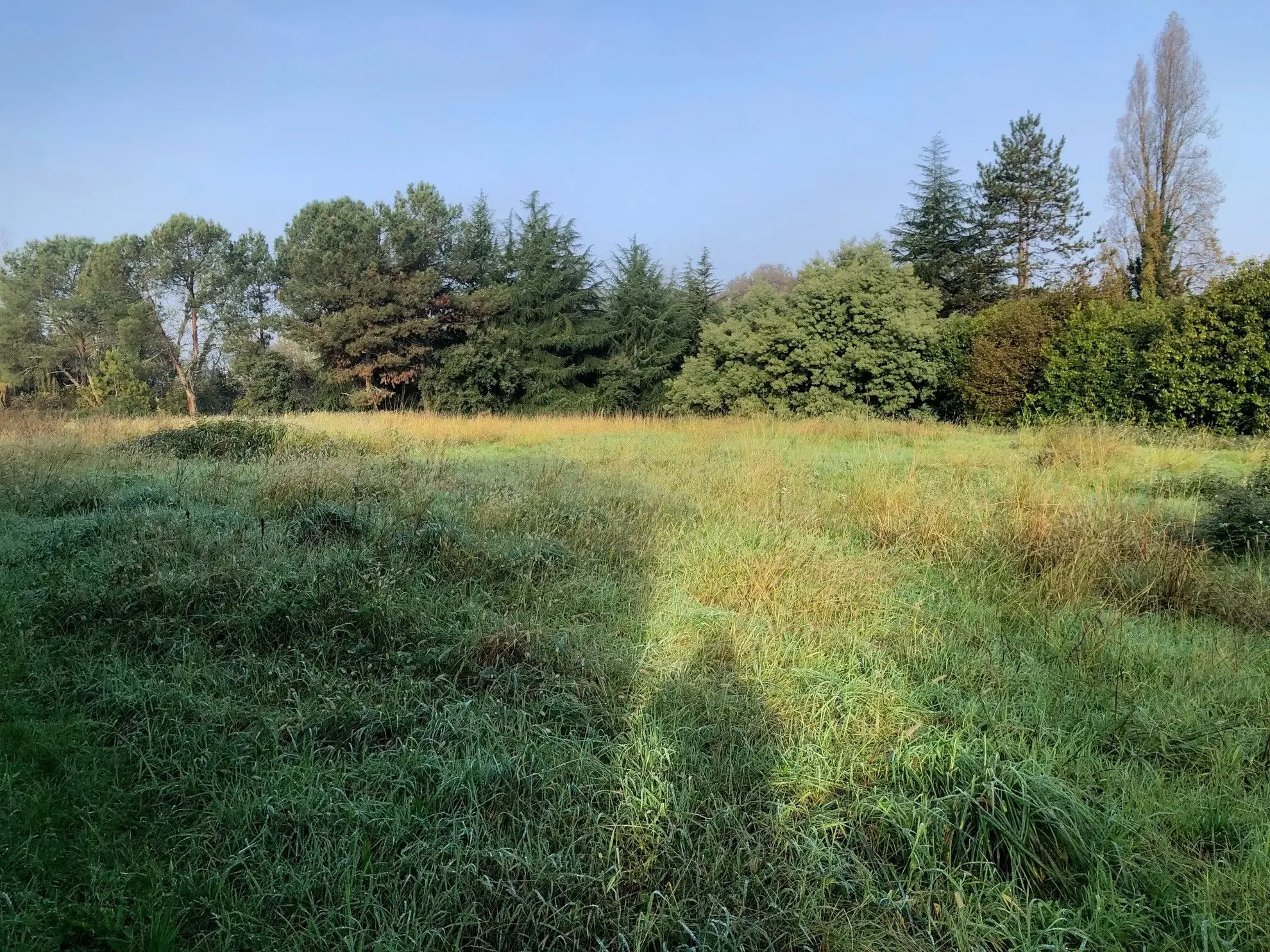Terrain à bâtir à Dax - Cadre verdoyant et viabilisé à proximité 