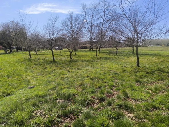 Terrain constructible de 980 m² à Cudos, idéal pour construire dans un environnement calme