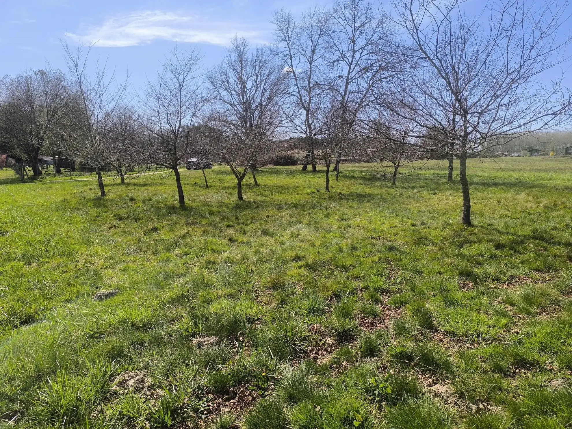 Terrain constructible de 980 m² à Cudos, idéal pour construire dans un environnement calme 