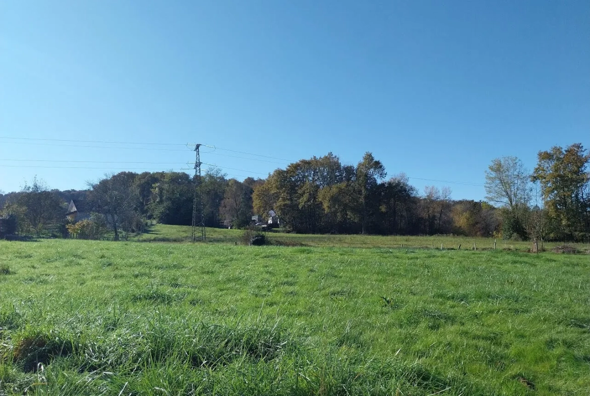 Terrain à vendre de 1735 m² à Bénéjacq, environnement calme et proche commodités 