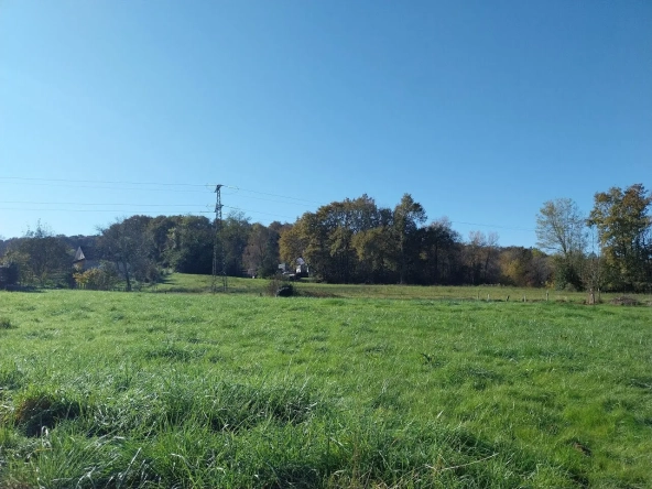 Terrain à vendre de 1735 m² à Bénéjacq, environnement calme et proche commodités