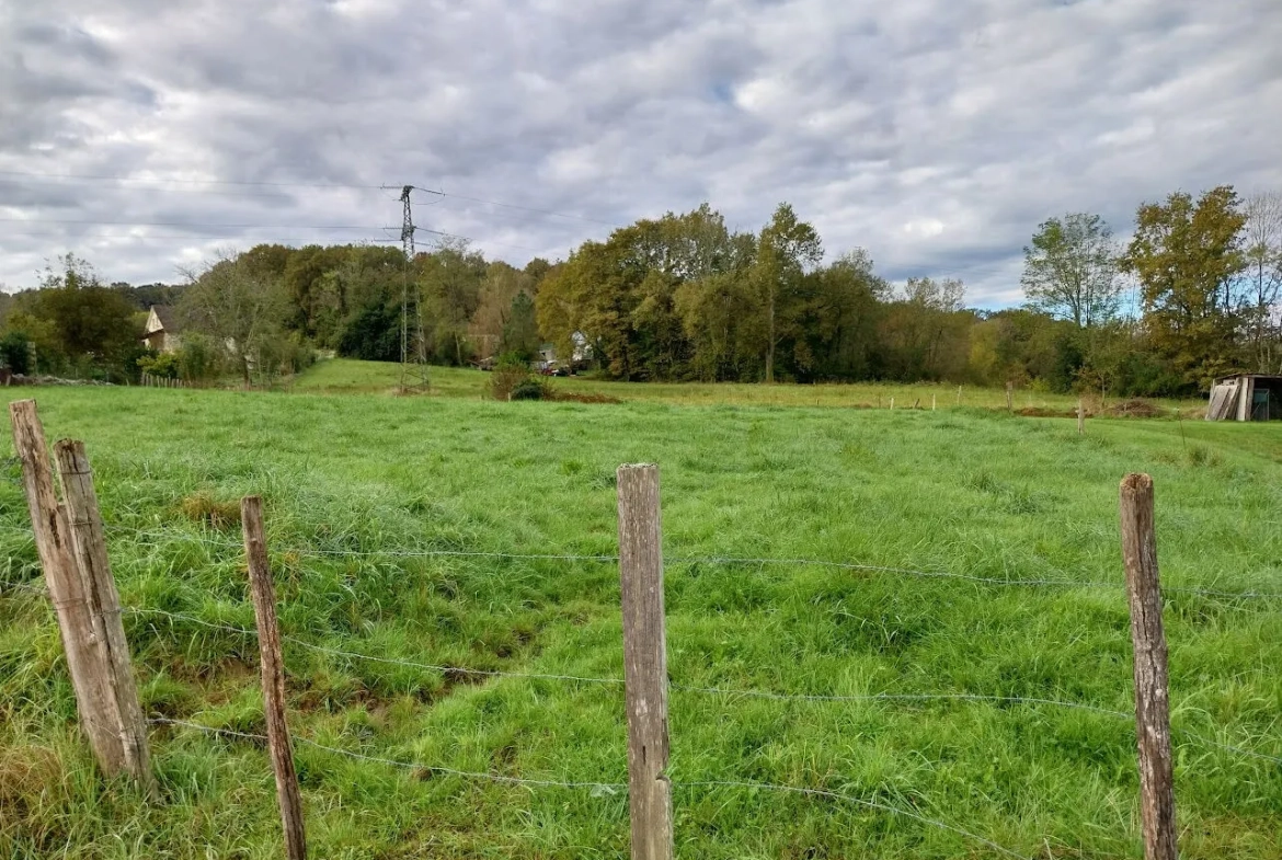 Terrain à vendre de 1735 m² à Bénéjacq, environnement calme et proche commodités 