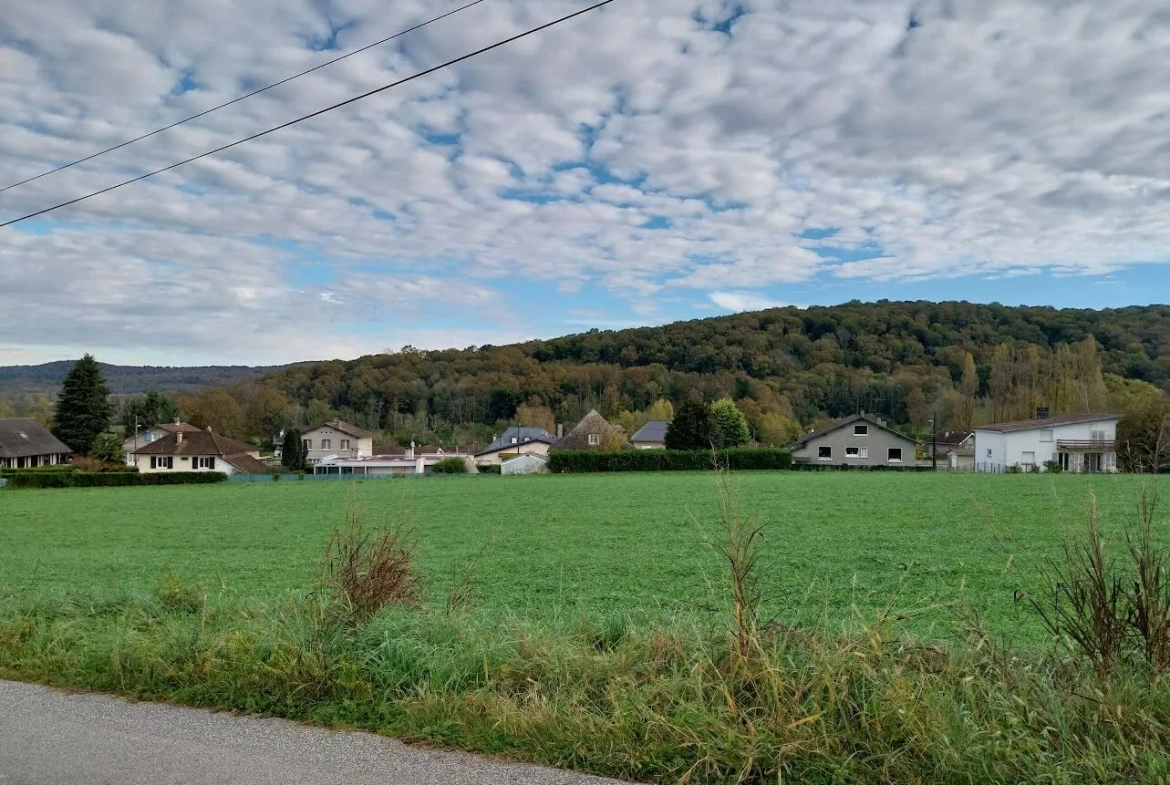 Terrain à vendre de 1735 m² à Bénéjacq, environnement calme et proche commodités 