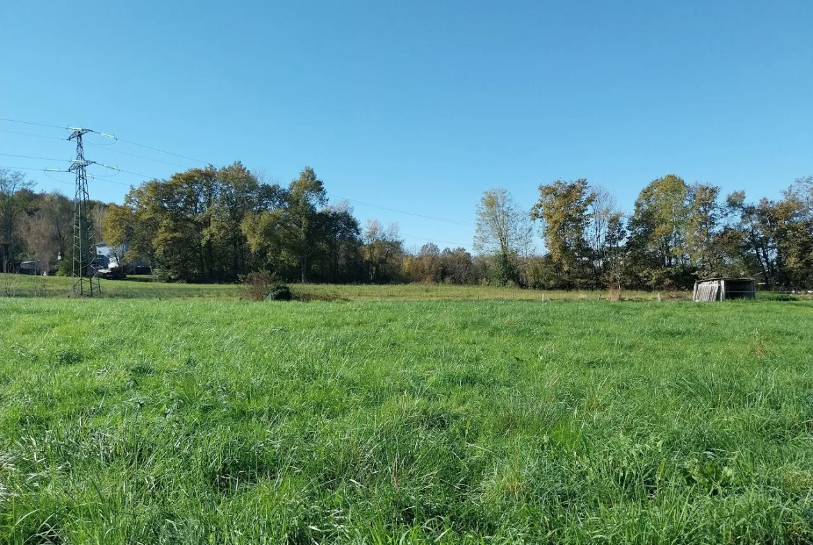 Terrain à vendre de 1735 m² à Bénéjacq, environnement calme et proche commodités 