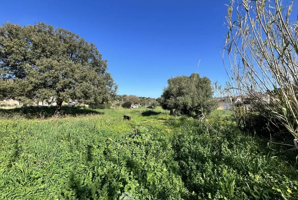 Terrain constructible de 1040 m² à Santa Reparata di Balagne, proximité mer 