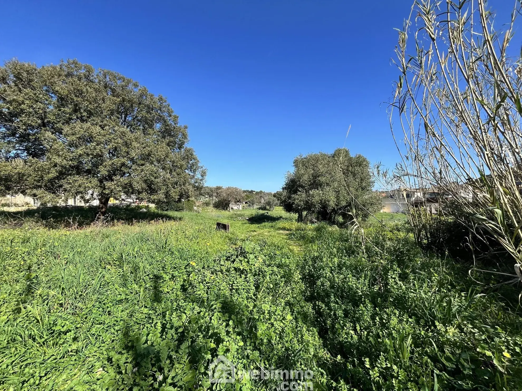 Terrain constructible de 1040 m² à Santa Reparata di Balagne, proximité mer 