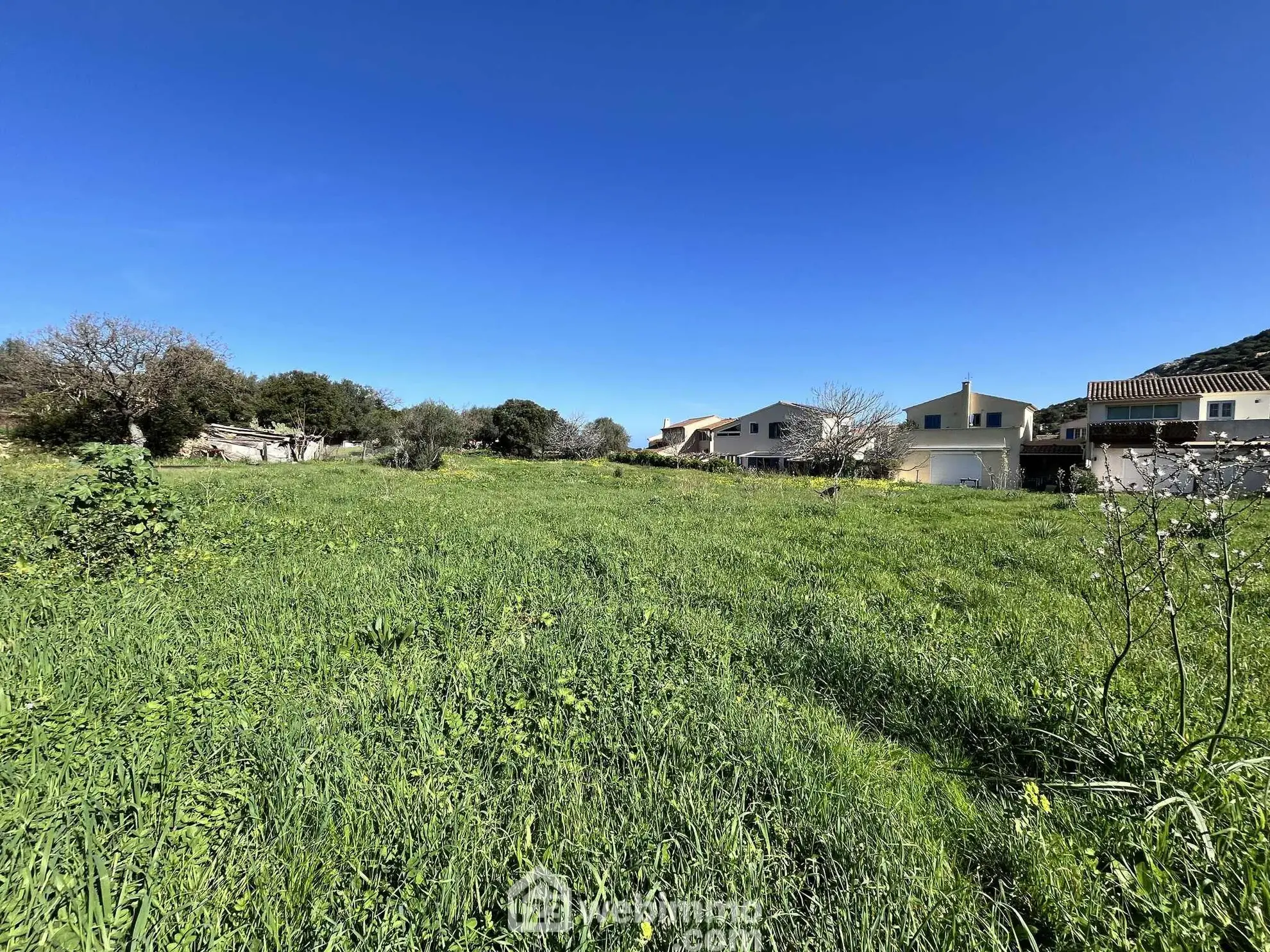 Terrain constructible de 1040 m² à Santa Reparata di Balagne, proximité mer 