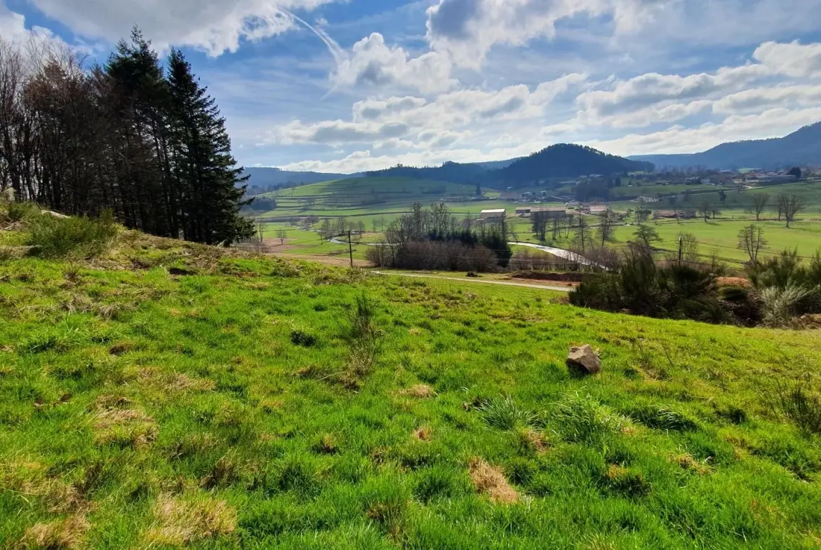 Terrain constructible de 1257 m² à Le Panges sur Vologne - Prix attractif 