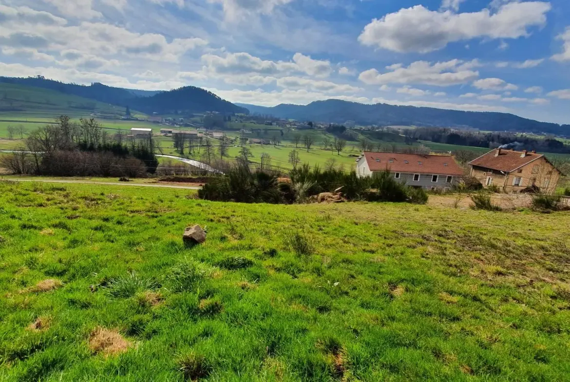 Terrain constructible de 1257 m² à Le Panges sur Vologne - Prix attractif 