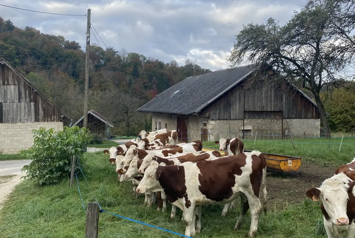Terrain à vendre à Saint Offenge - Parcelle de 700 m² dans un environnement calme 