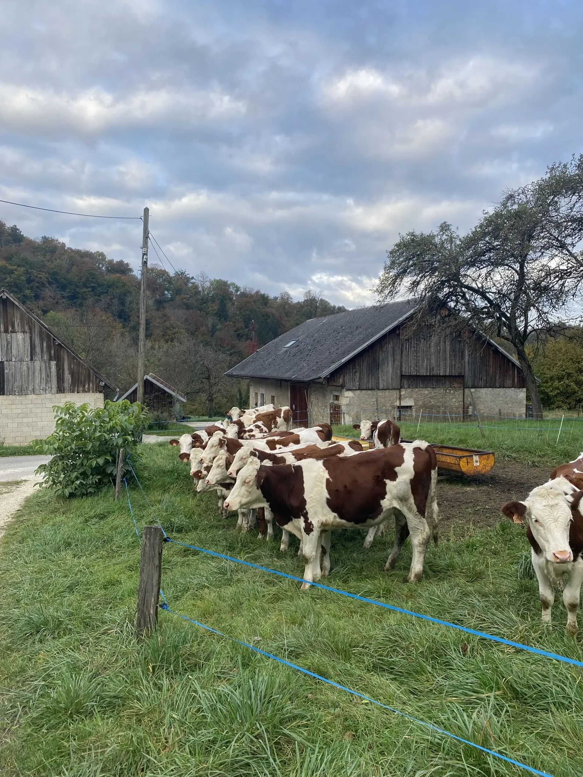Terrain à vendre à Saint Offenge - Parcelle de 700 m² dans un environnement calme 