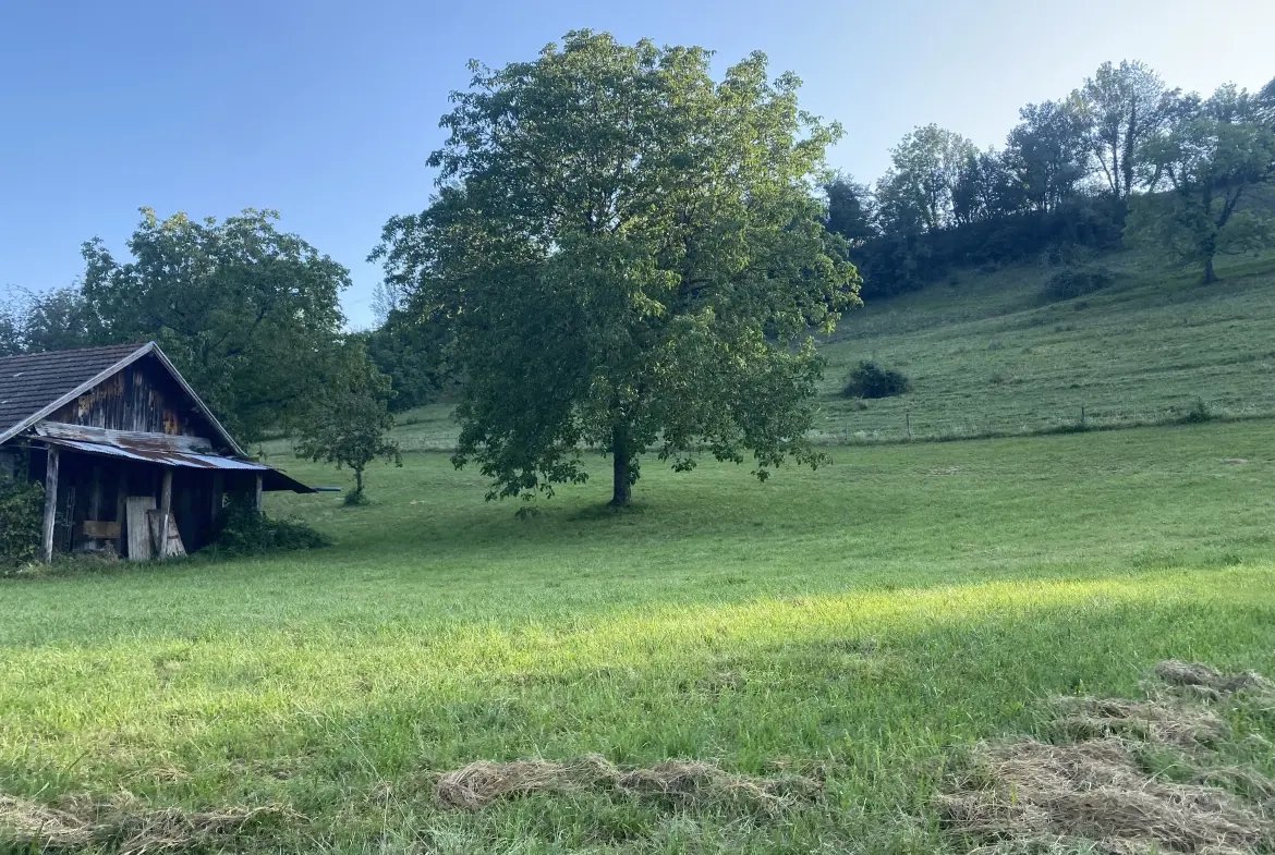 Terrain à vendre à Saint Offenge - Parcelle de 700 m² dans un environnement calme 