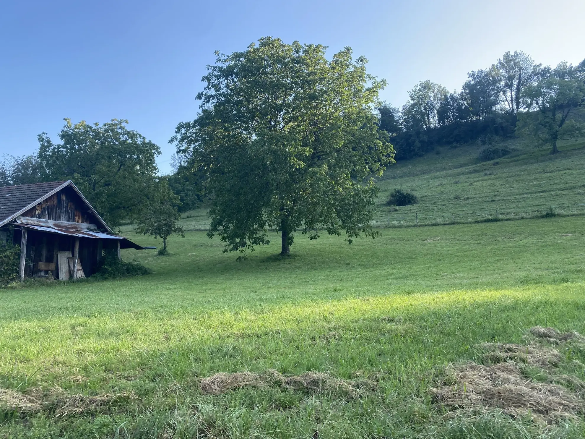 Terrain à vendre à Saint Offenge - Parcelle de 700 m² dans un environnement calme 