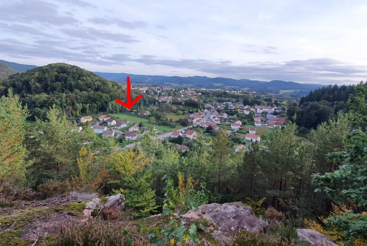 Terrain constructible de 3900 m² à Bruyères à vendre pour 85 400 € 