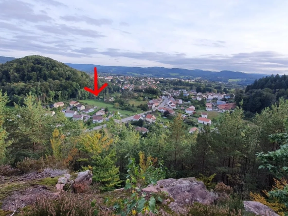 Terrain constructible de 3900 m² à Bruyères à vendre pour 85 400 €