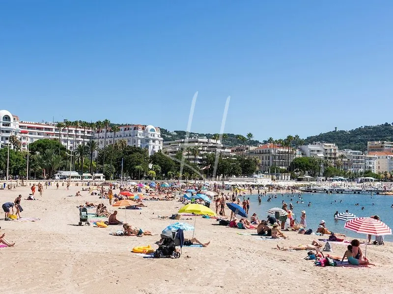 Magnifique appartement 2 pièces face mer à Cannes La Bocca 