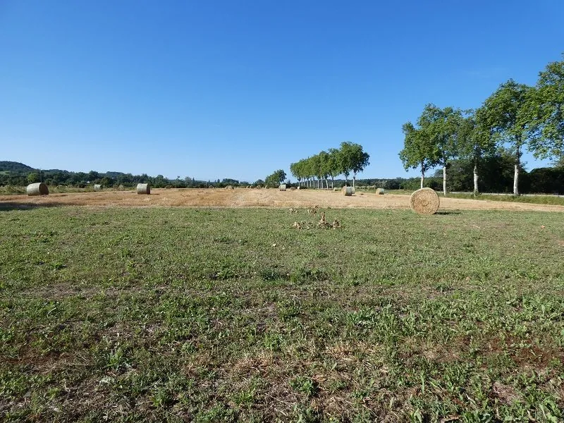 Terrain constructible de 2900 m² avec vue sur les Pyrénées à Sansan 