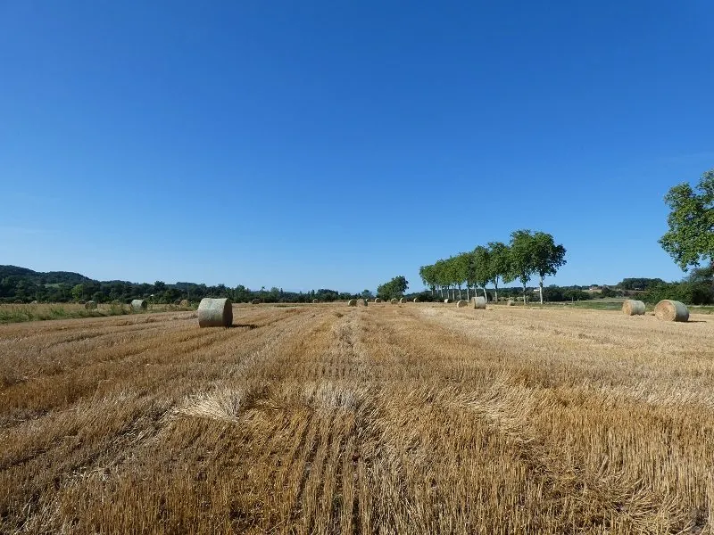 Terrain constructible de 2900 m² avec vue sur les Pyrénées à Sansan 