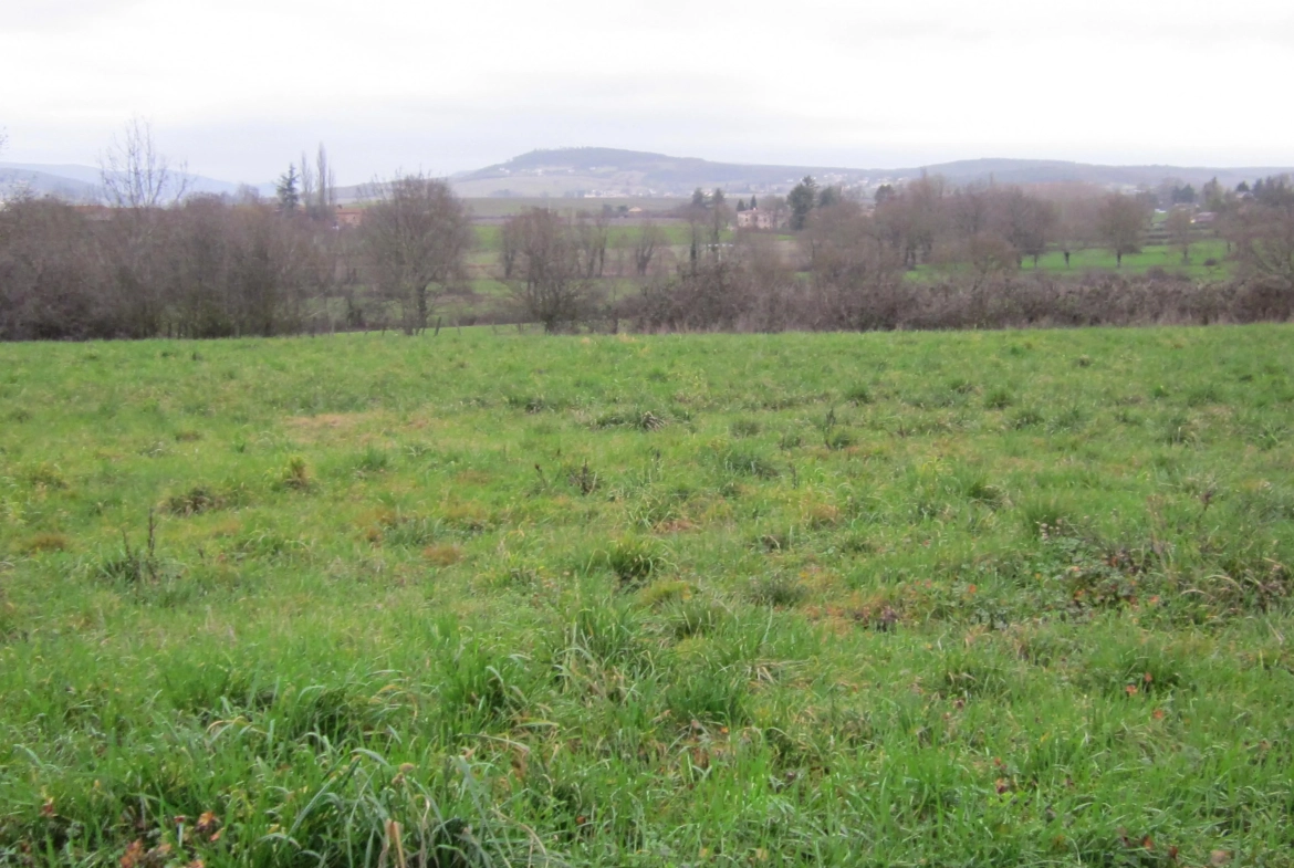 Construisez votre maison moderne à Buellas avec terrain de 820 m² 