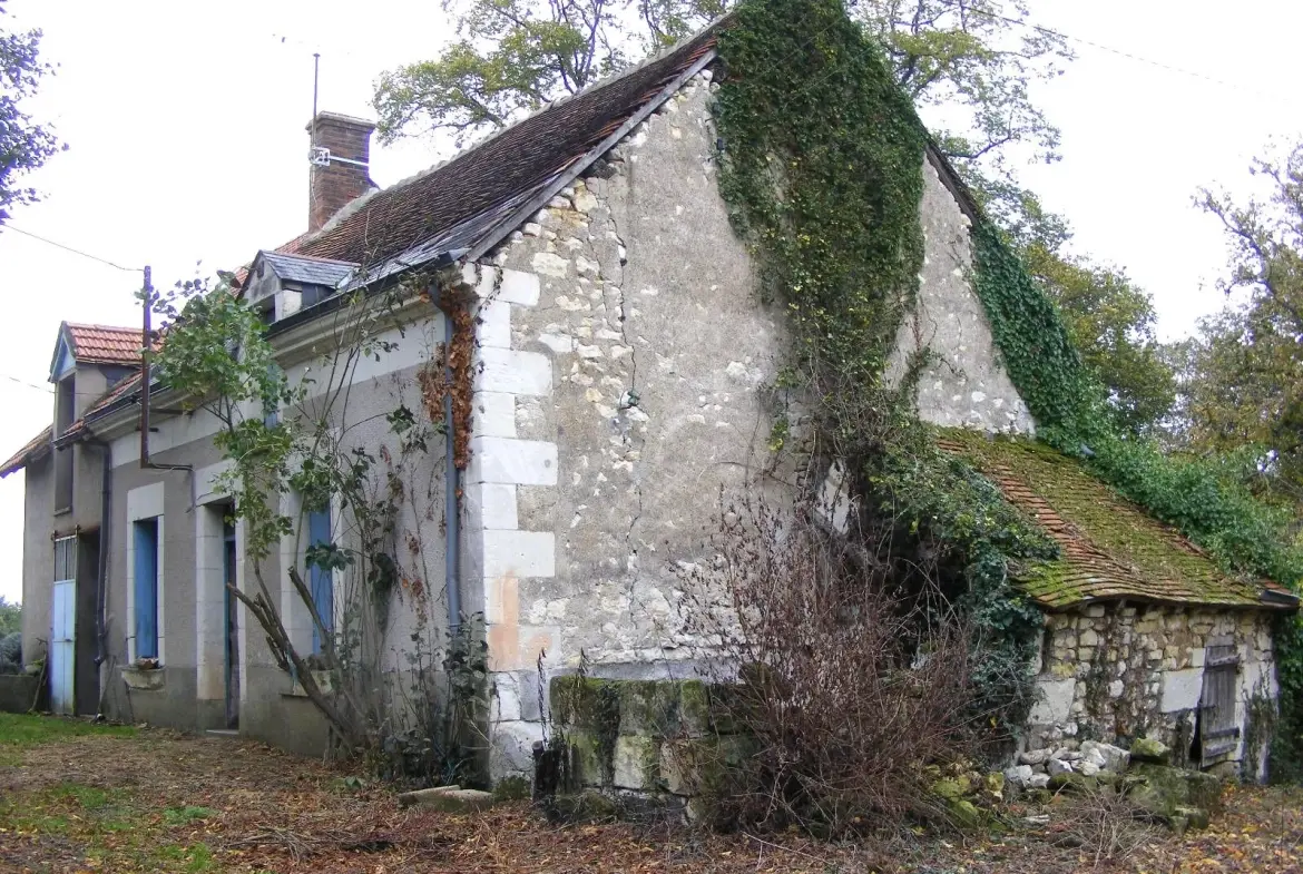 Ensemble immobilier à rénover sur terrain boisé de 8 717 m² à Valençay 