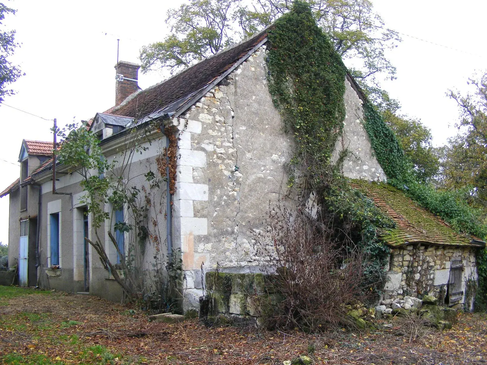 Ensemble immobilier à rénover sur terrain boisé de 8 717 m² à Valençay 
