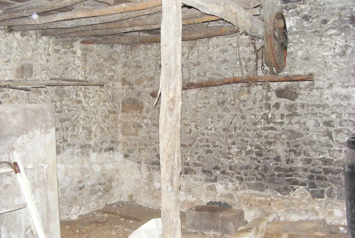 Ensemble immobilier à rénover sur terrain boisé de 8 717 m² à Valençay 